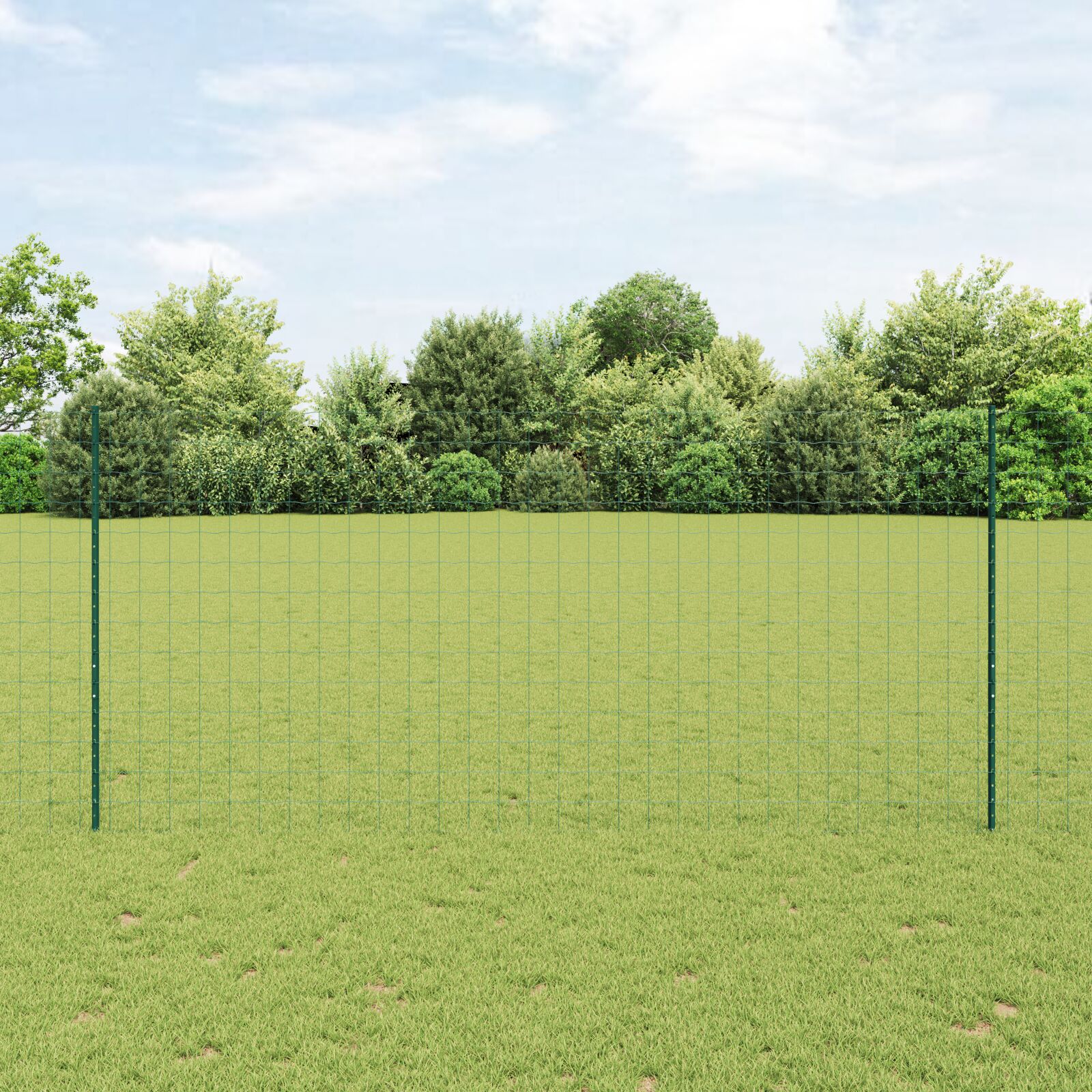 vidaXL Eurozaun mit Pfosten Set aus 2 Grün Pulverbeschichteter Stahl, PVC