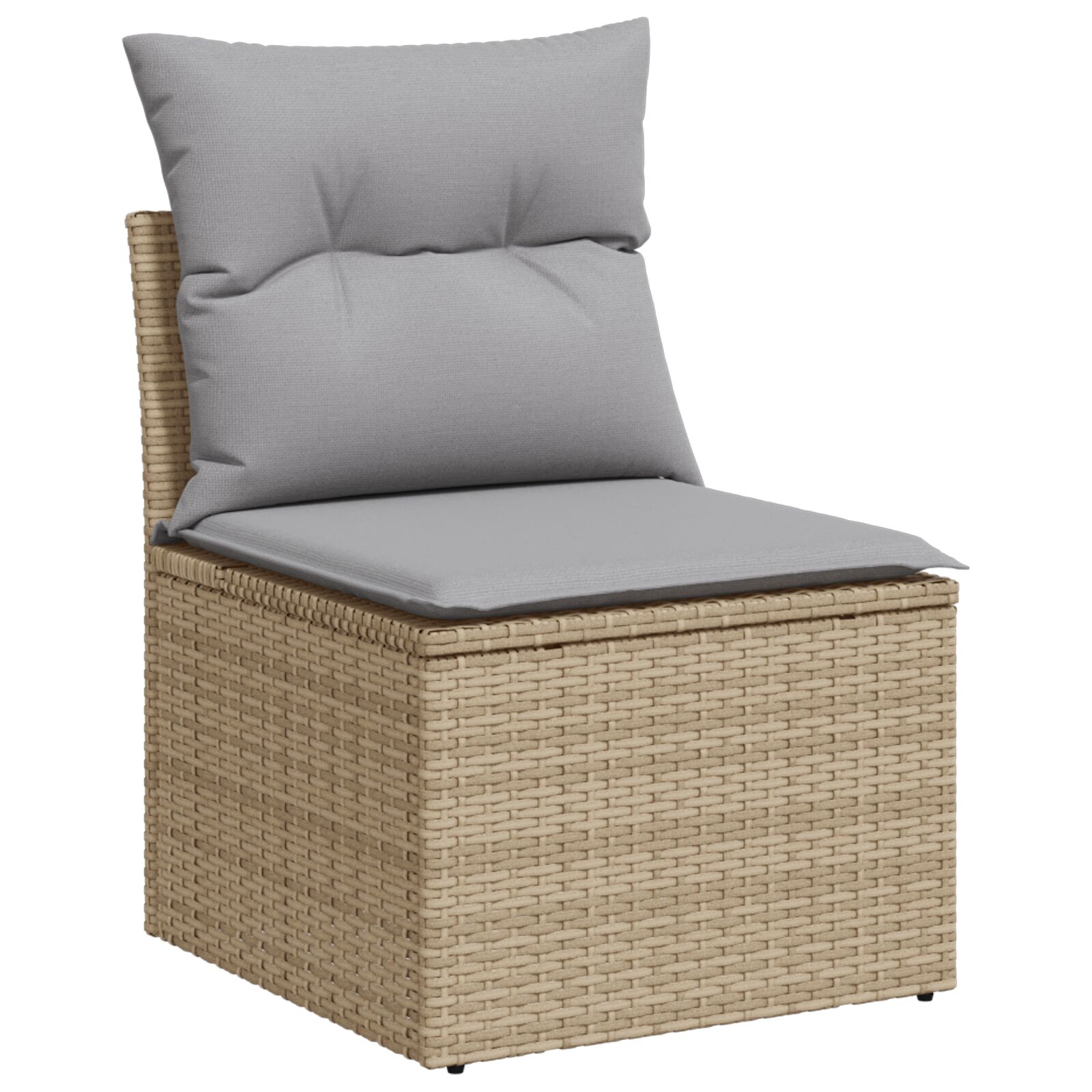 vidaXL 10-teiliges Garten Sofa Set mit Kissen Beige Poly Rattan Akazie