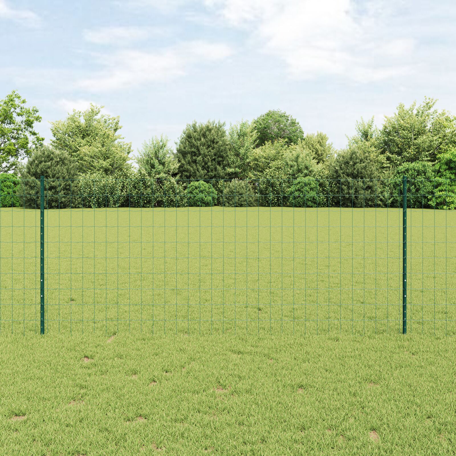 vidaXL Euro Zaunset Set von 2 Grün Metall 25 x 1 m Langlebig