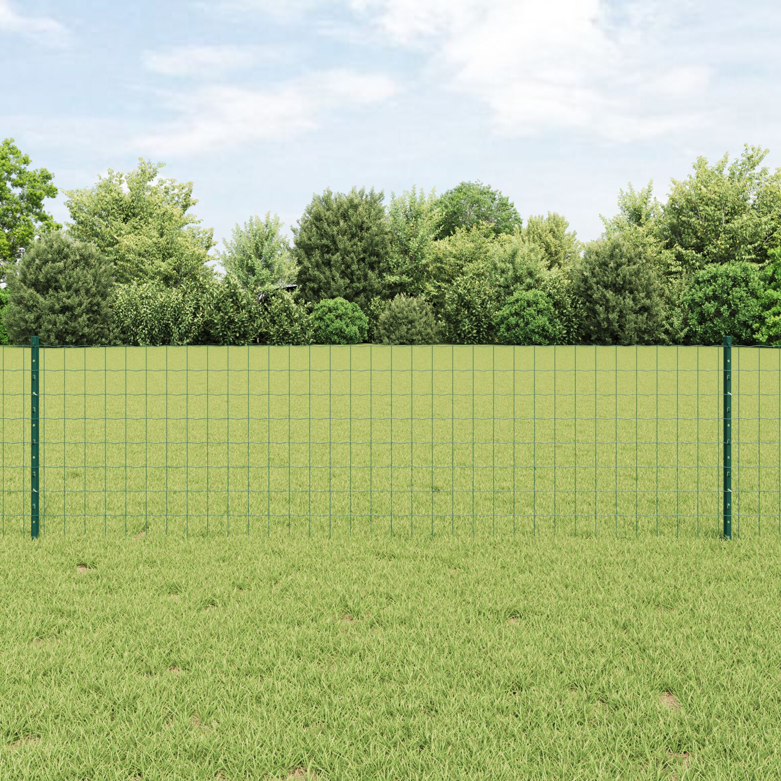 vidaXL Eurozaun-Set Set aus 2 Grün Metall 10 x 0,6 Meter Langlebig