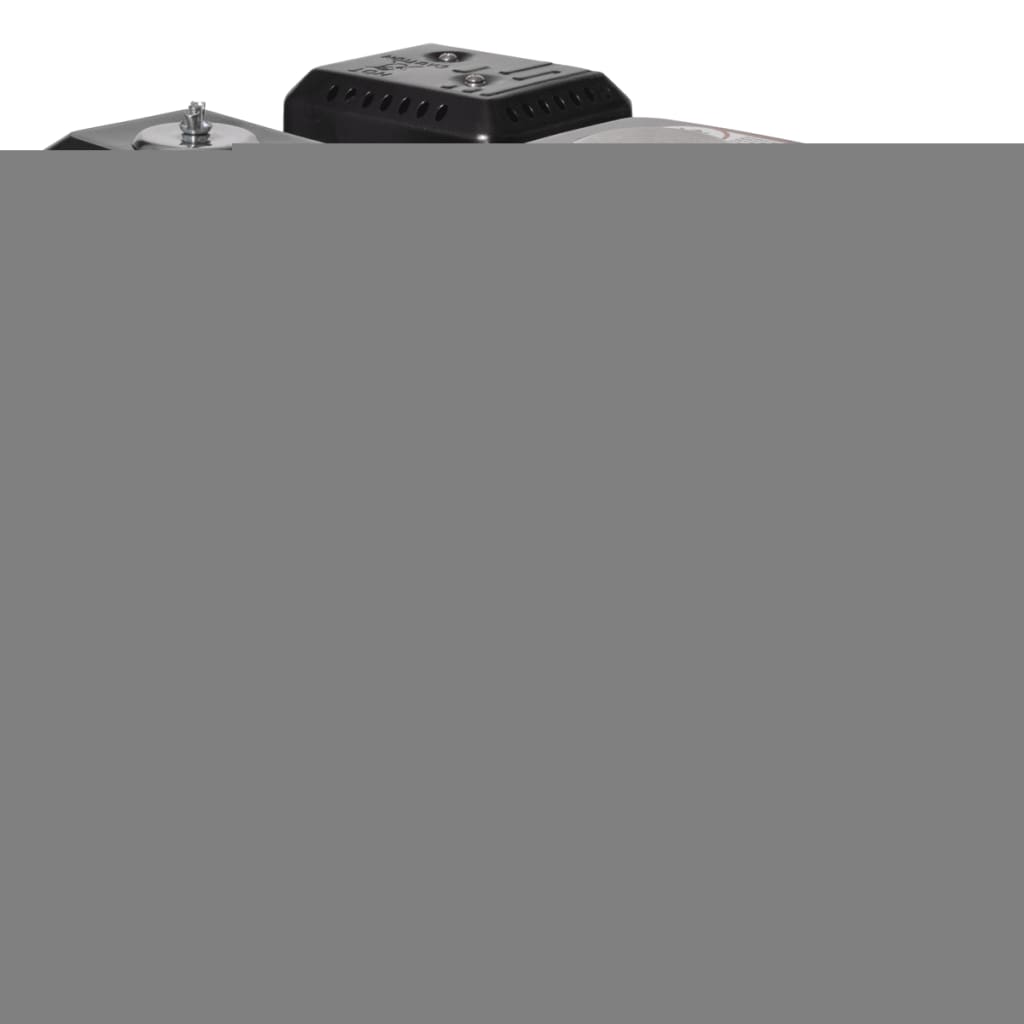 vidaXL Benzinmotor 6,5 PS 4,8 kW Schwarz